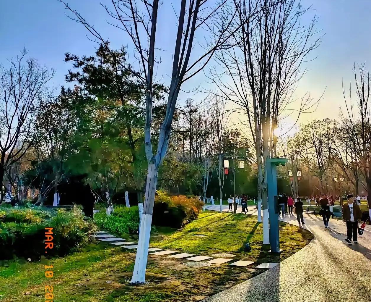 我发现，现在的退休人员怪的很，但凡体制内的，公务员或事业编，文化水平高的退休人员