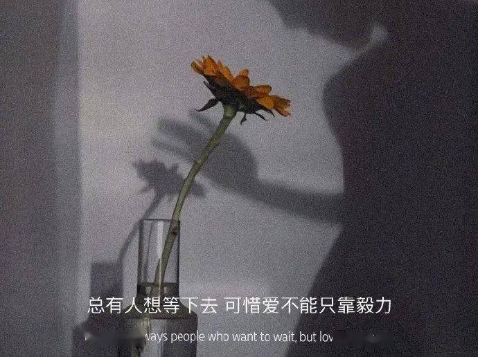 看完你就释怀了宫崎骏说：