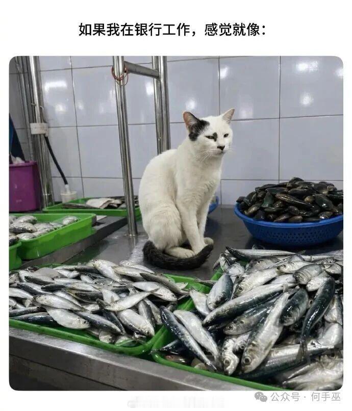 好多！我能拿一个吗？​​​