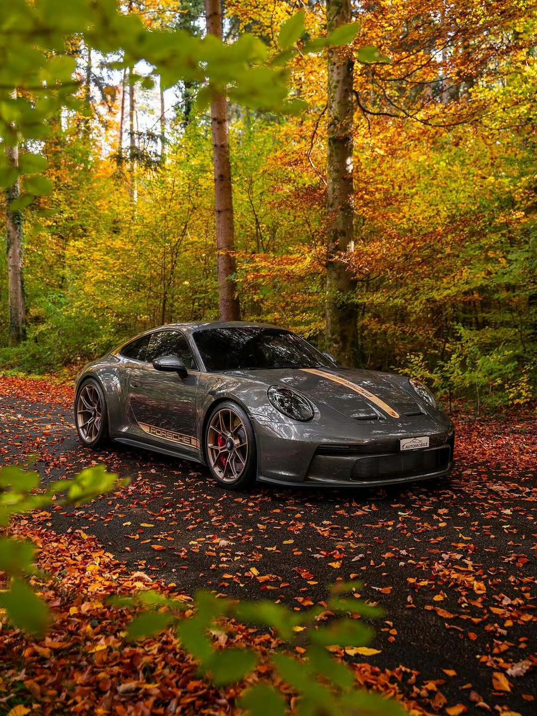 保时捷911GT3Touring​​​深秋野游[墨镜][墨镜]​​​