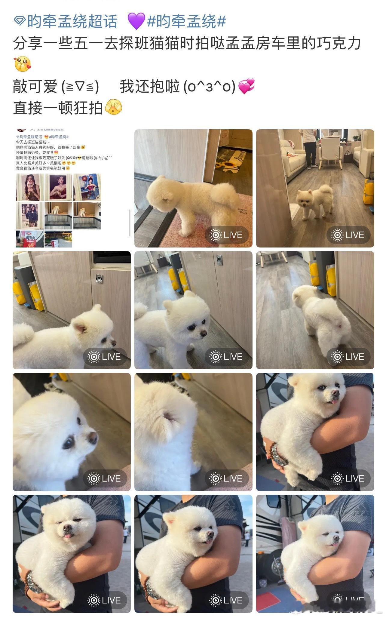 昀牵孟绕探班孟子义上房车​​​
