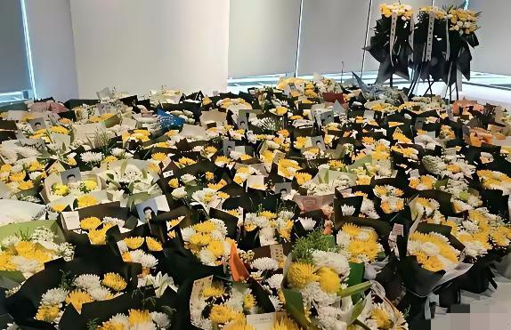 专程去苏州想给张雪峰送束花，到产业园才发现连落脚的地方都没有，遍地花海，阵仗远超