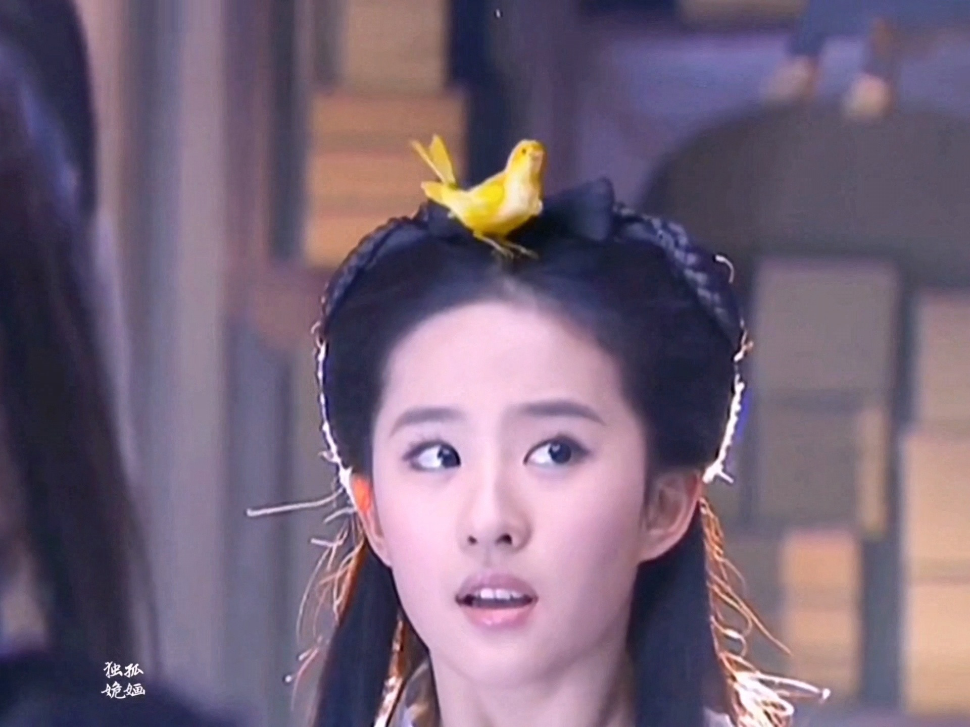 这鸟是特效，有人知道吗？刘亦菲演技太灵动了吧！