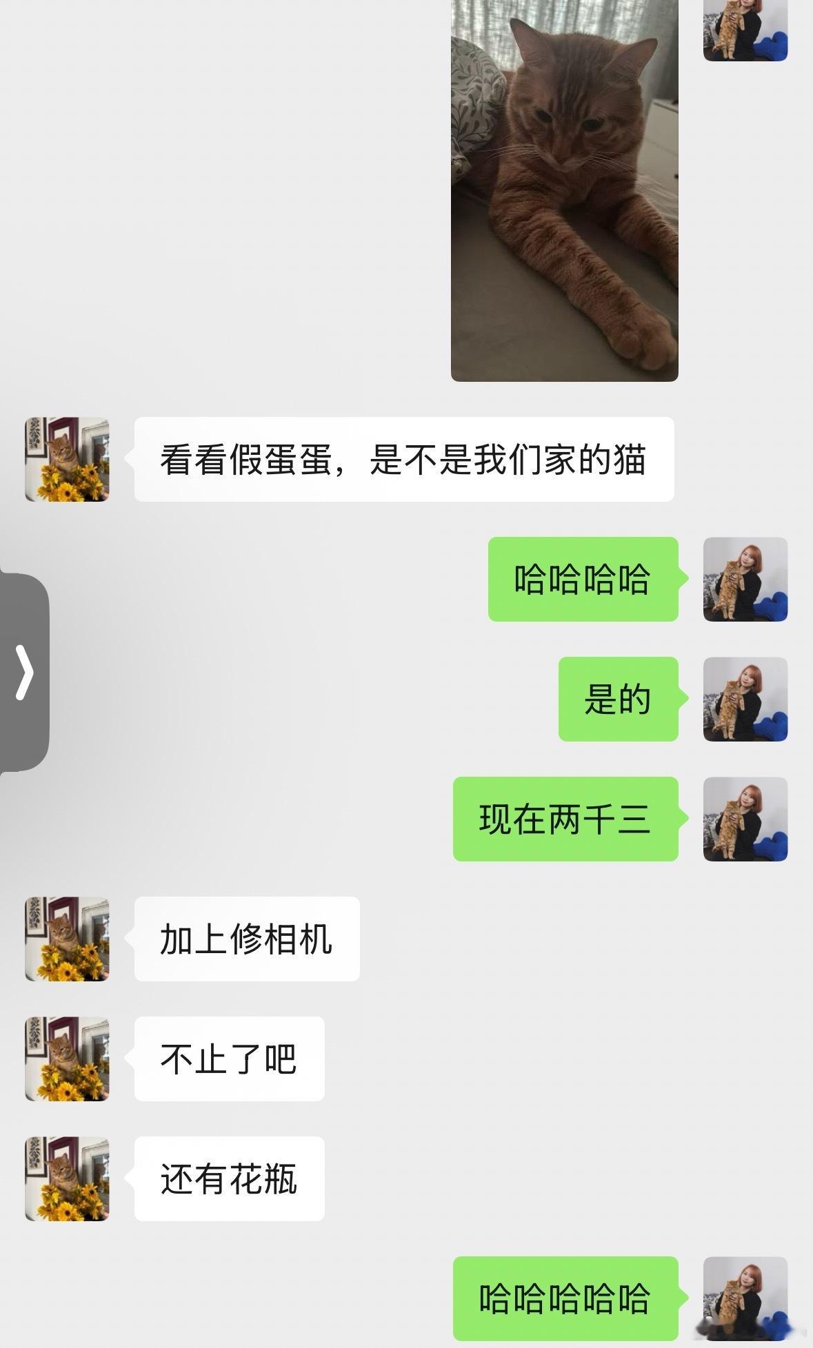 我家小猫咪，昨天晚上跑出去了，怎么找也找不到我睡不着啊，凌晨联系了找猫队，到四点