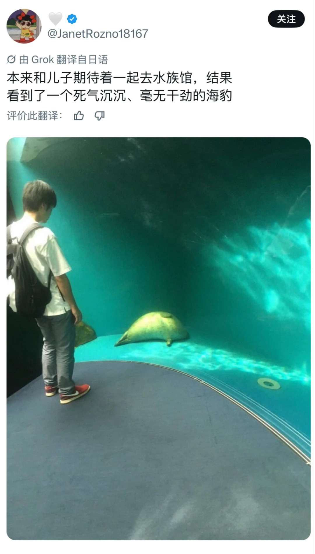 好好笑哦简直我本人