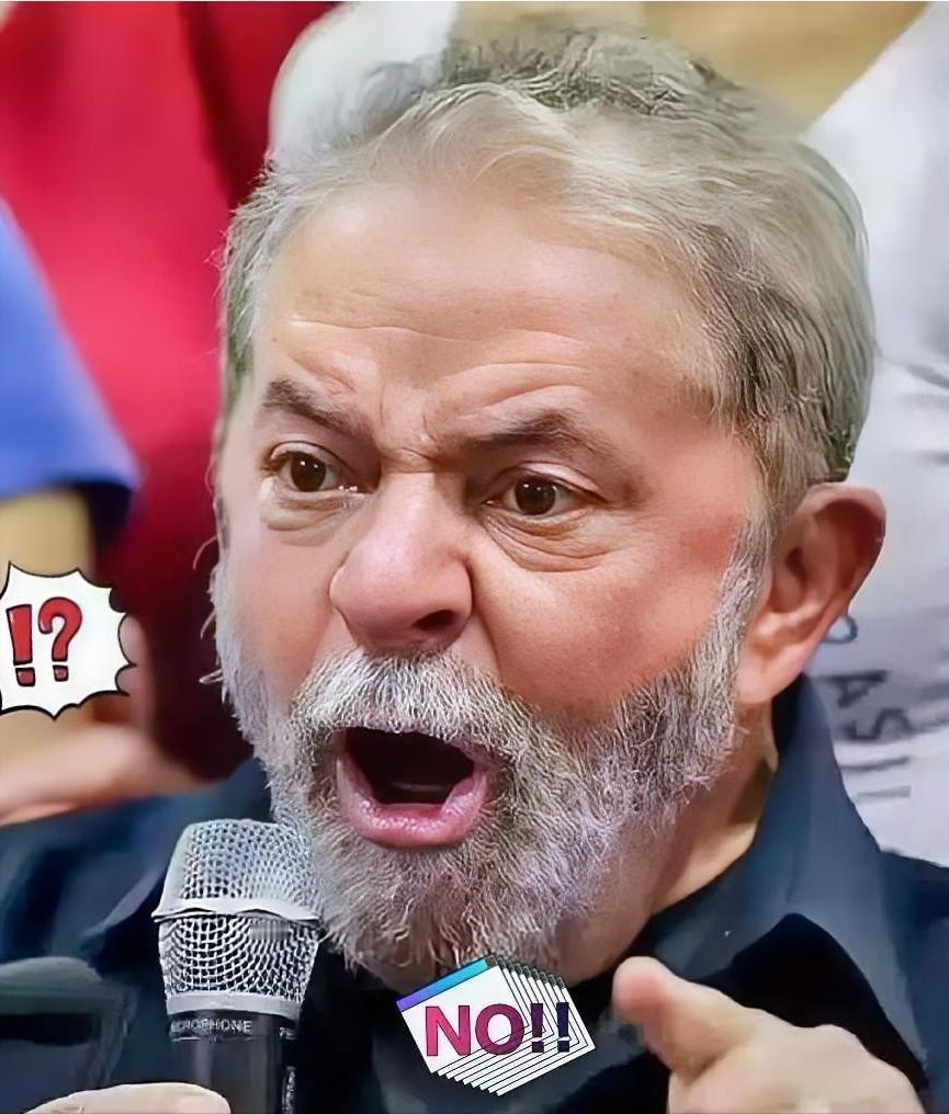 巴西外贸委员会正式宣布10月28日，巴西外贸委员会管理执行委员会（GECEX）正