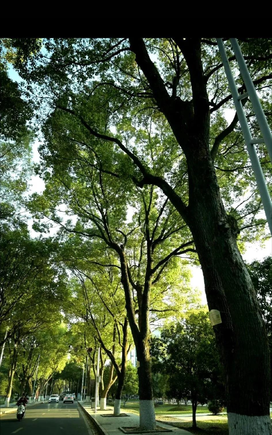 房价大跌？国家绝不允许！75%家庭财富的生死保卫战，这些真相你必须知道！
