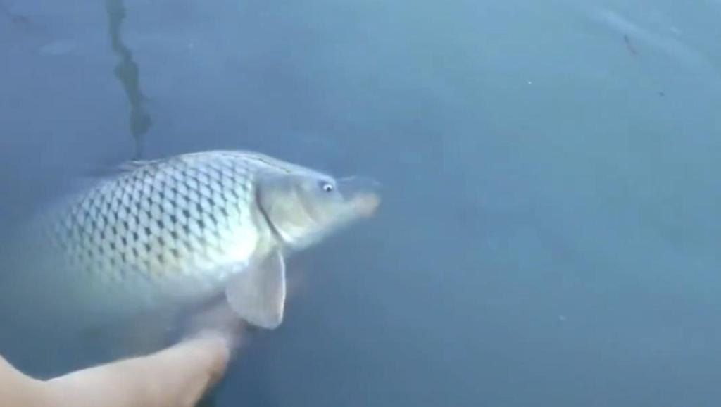 11947268890901088499.jpg?id=0