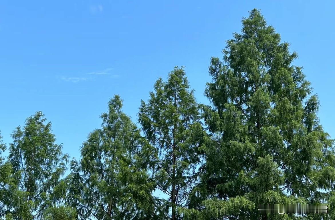 为了点车贷，把自己的婚姻整没了，真是傻啊！一女子，42岁考完驾照，就想买一辆车，