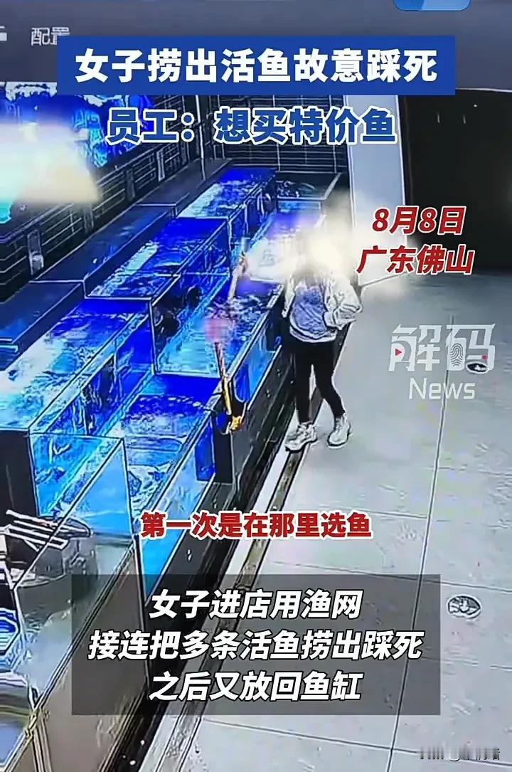 脸都不要了！8月8日，广东佛山一名女子在商场内买鱼，为了买特价鱼，故意将活鱼从水