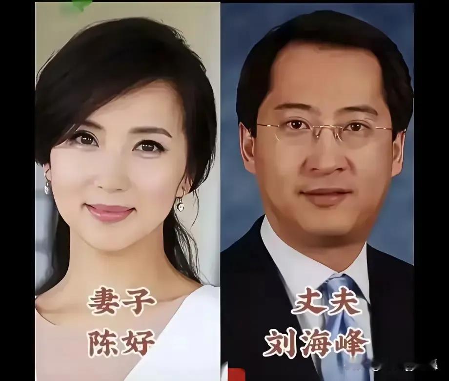 万人迷的专属归宿温婉知性的陈好，低调美满的万茜，自然清新的姜妍，明媚风情的朱珠，冷艳飒爽的张馨予，雍