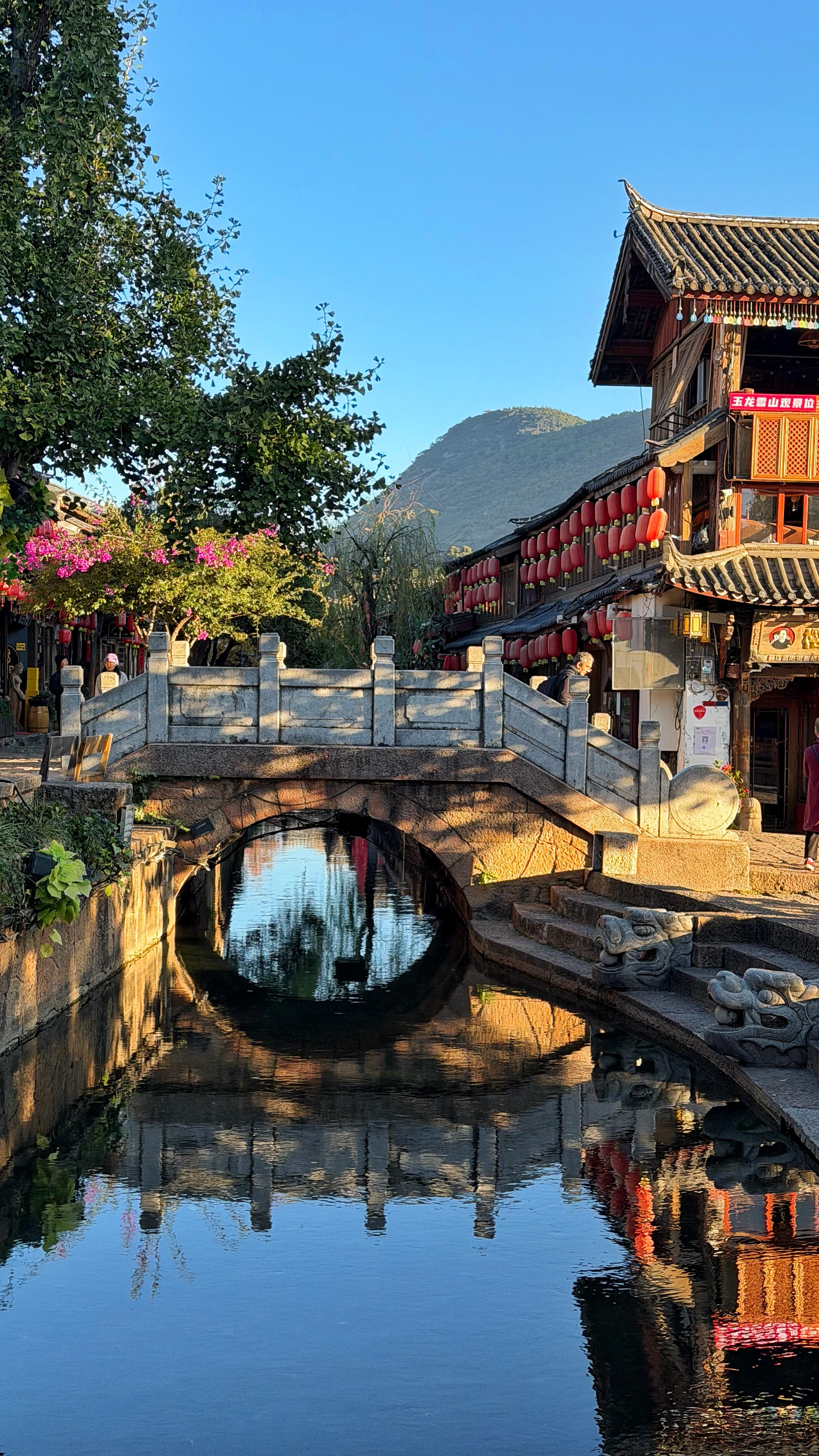 丽江的清晨是刚醒的石板路，水车沾着露，把玉龙雪山的白揉进巷口的光里。豆花名宿的木