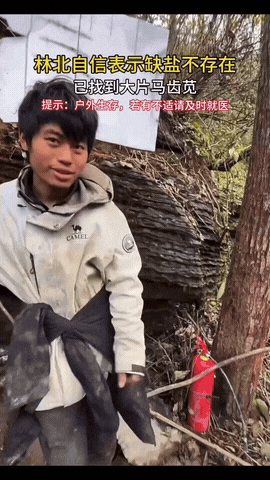 林北在荒野里饿得腿都肿了，发现一大片能救命的马齿苋，第一反应不是偷偷塞嘴里，而是