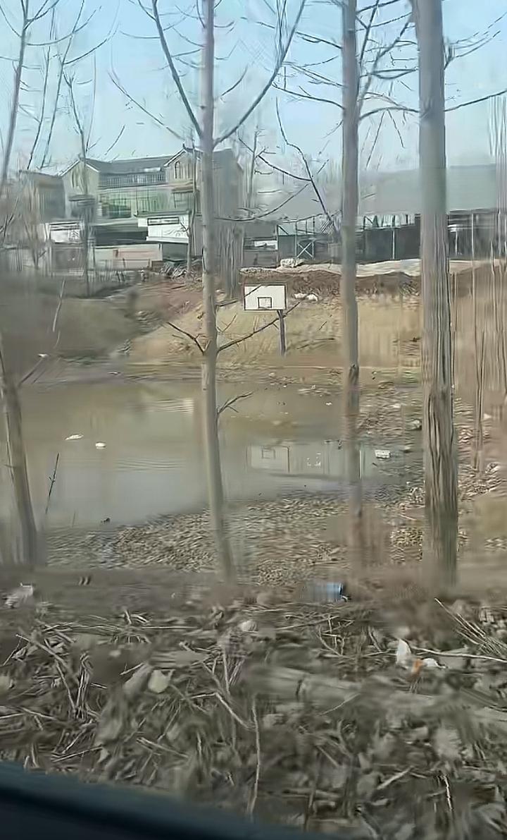 鱼也打篮球么？