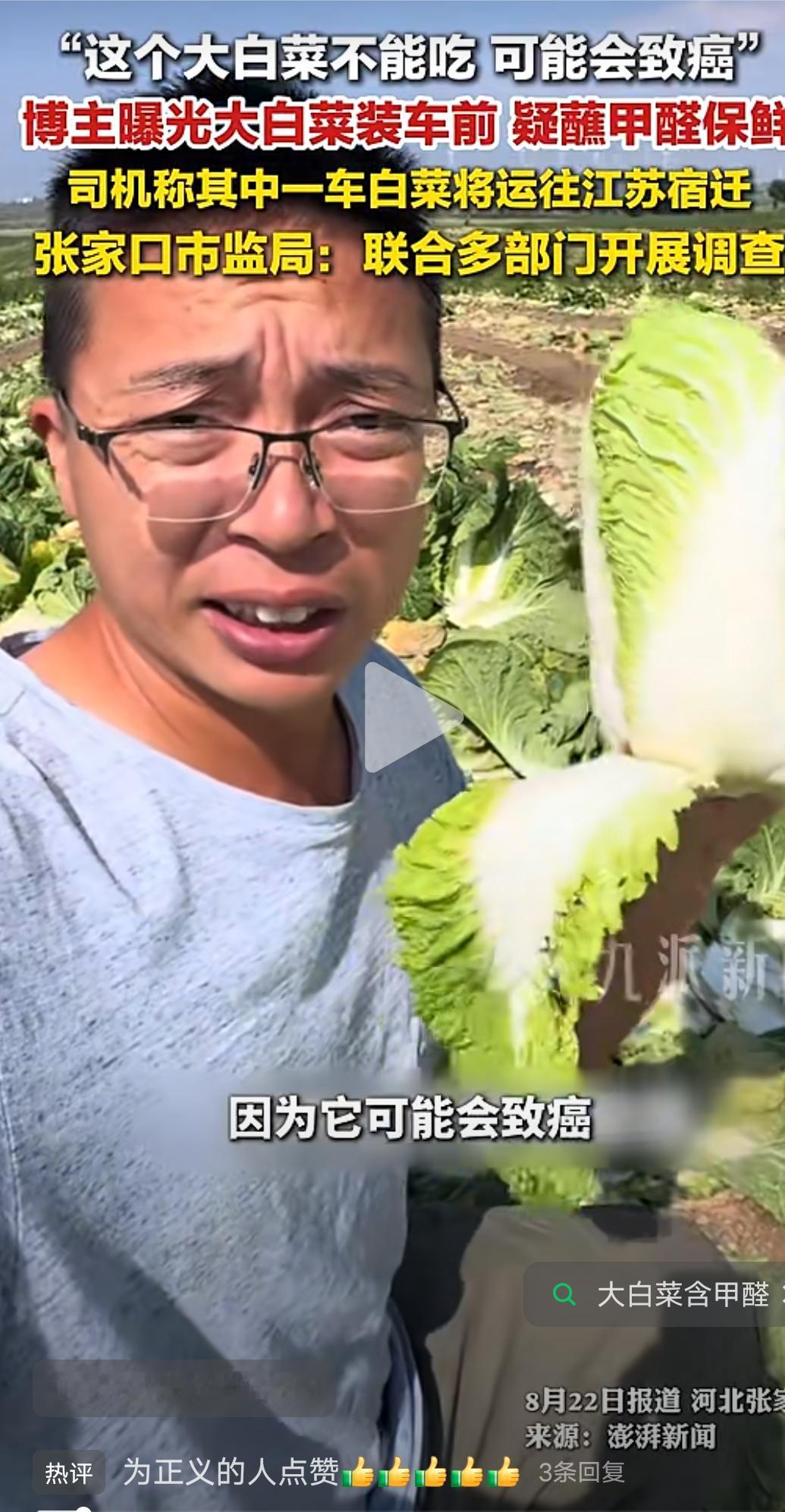 “这个大白菜不能吃因为它可能致癌”8月22日博主“渔猎齐哥”与“啄木鸟环保小帅