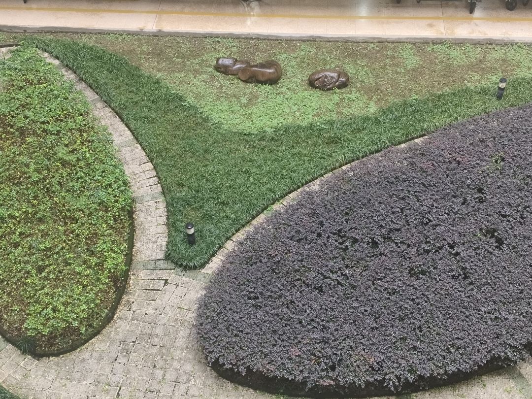 知道你们没人懂