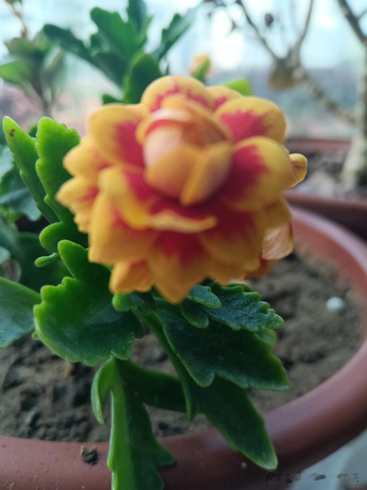 ​第一，不会请任何人吃饭第二，电话基本不响（除了诈骗电话）第三，逢年过节不会