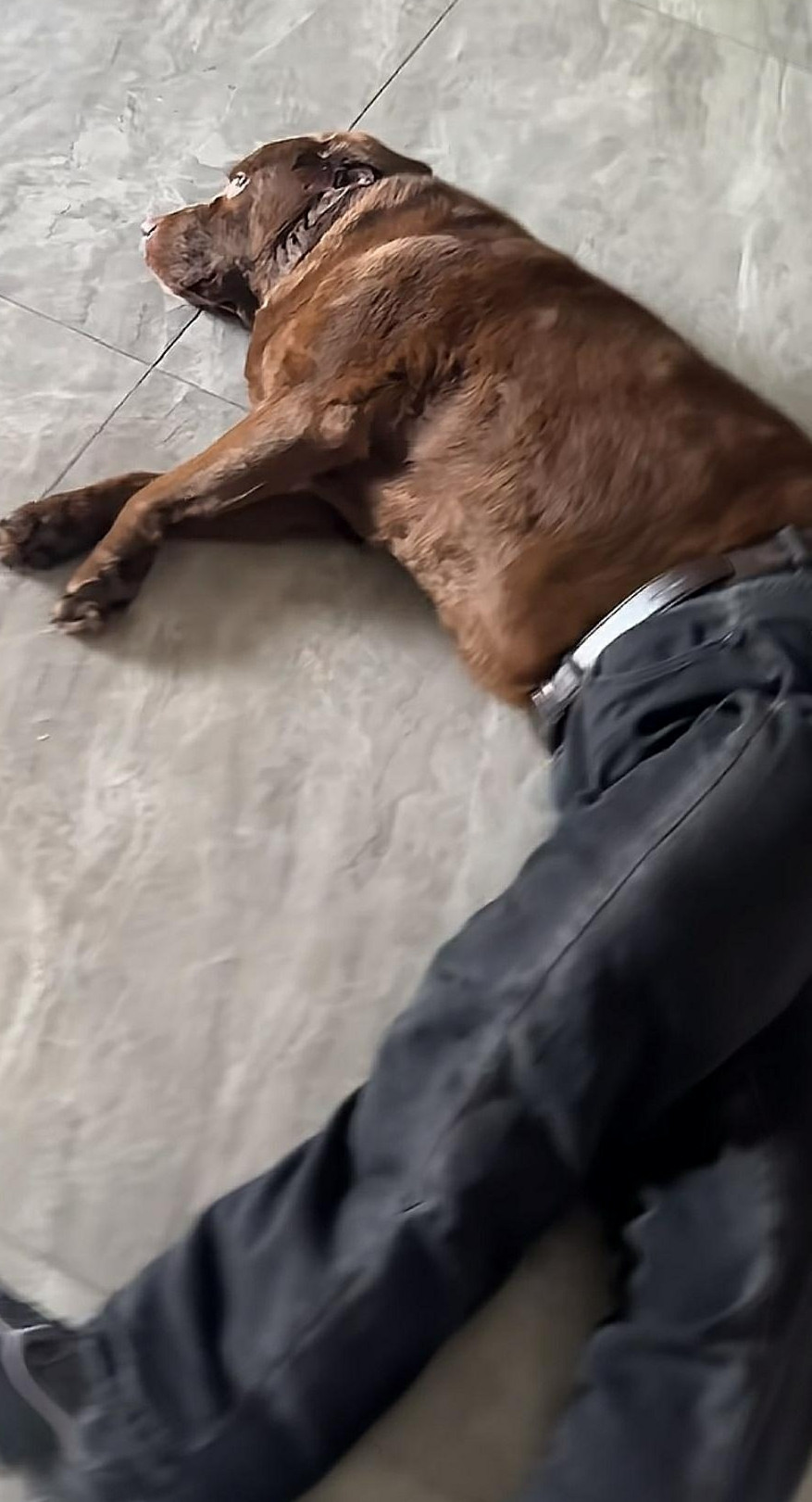 这就是孤独的单身狗吗