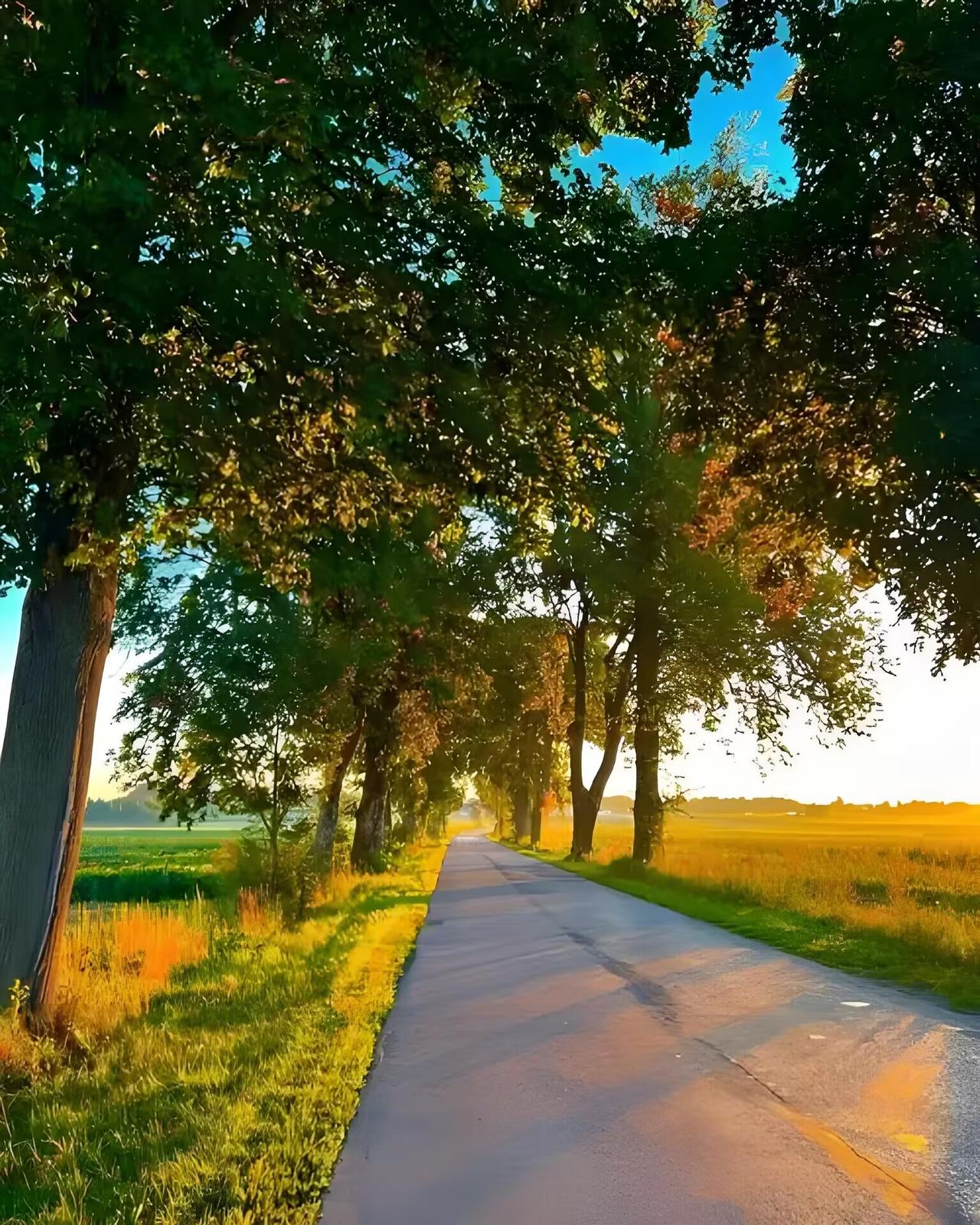 真是家家有本难念的经，老家亲戚家他们头胎是个智力缺陷的儿子，怕自己百年后没人管老