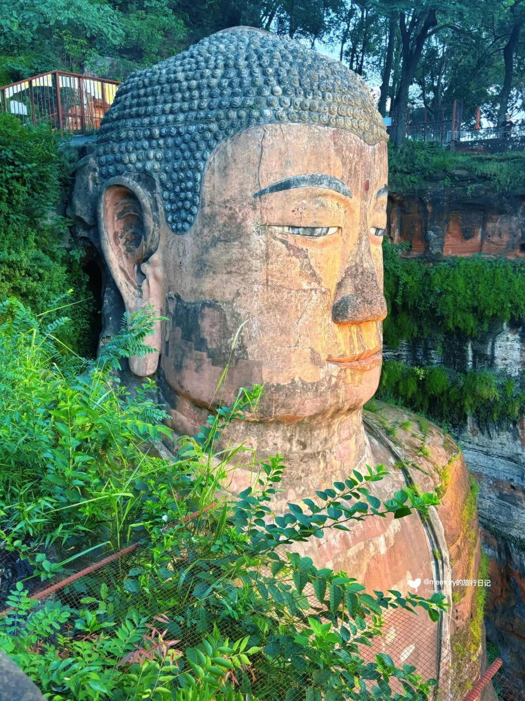 人生建议:到成都玩一定要留一天给乐山