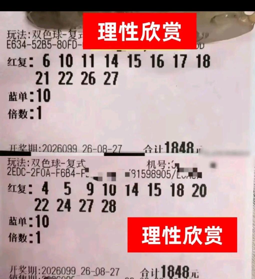 平时偏爱大额复式、高倍投注，一心想着搏一把就此上岸。可昨晚开奖结果一出，这场期盼