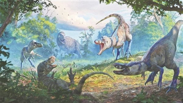 【霸王龙“亲儿子”竟是冒牌货？】在古生物学界，长期存在一个谜团：那些外形酷似霸王