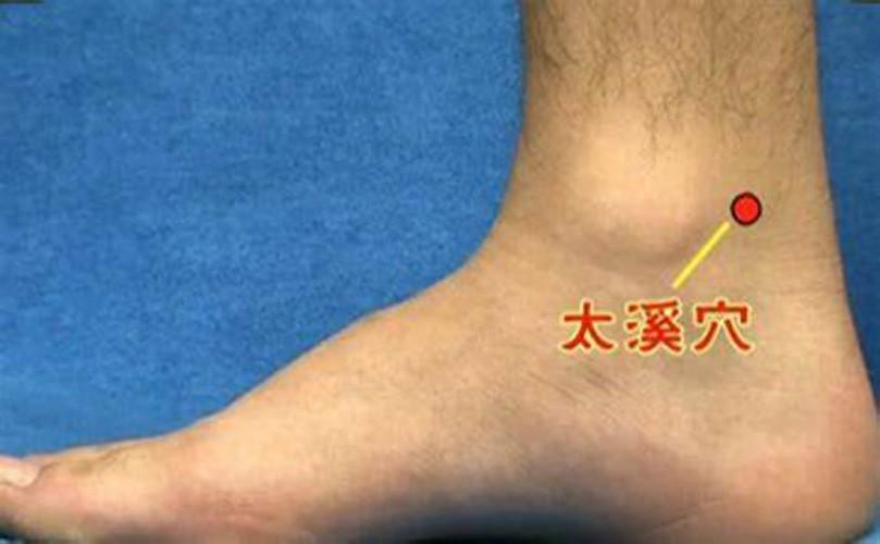 筑宾穴——解肾毒、安心神之补肾要穴大家好，我是中医陈医生！提示：本内容仅