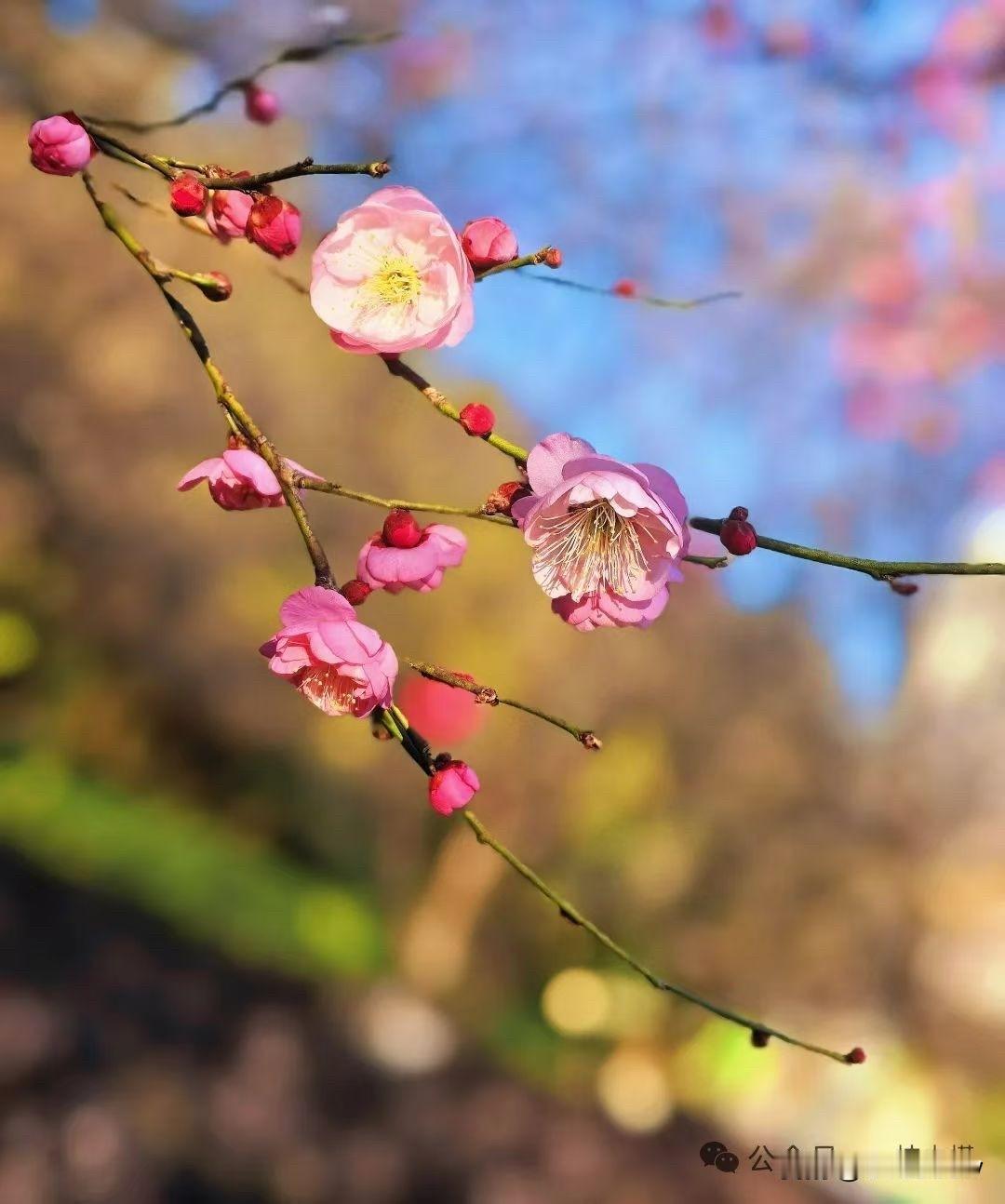 周五武汉地铁客流量达444万人次以上[呲牙笑][呲牙笑][呲牙笑]爆料身边事地铁