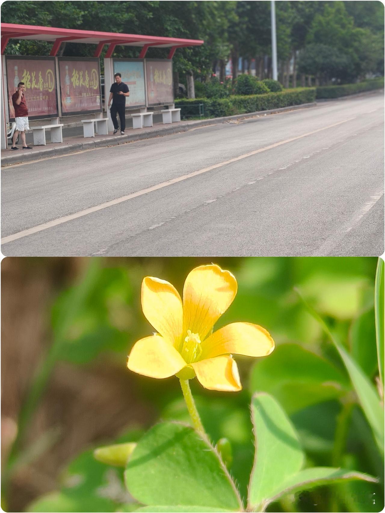 生活本无完美，唯有用心来体会！今天下班下不小心摔了一跤，好半天手都是疼的
