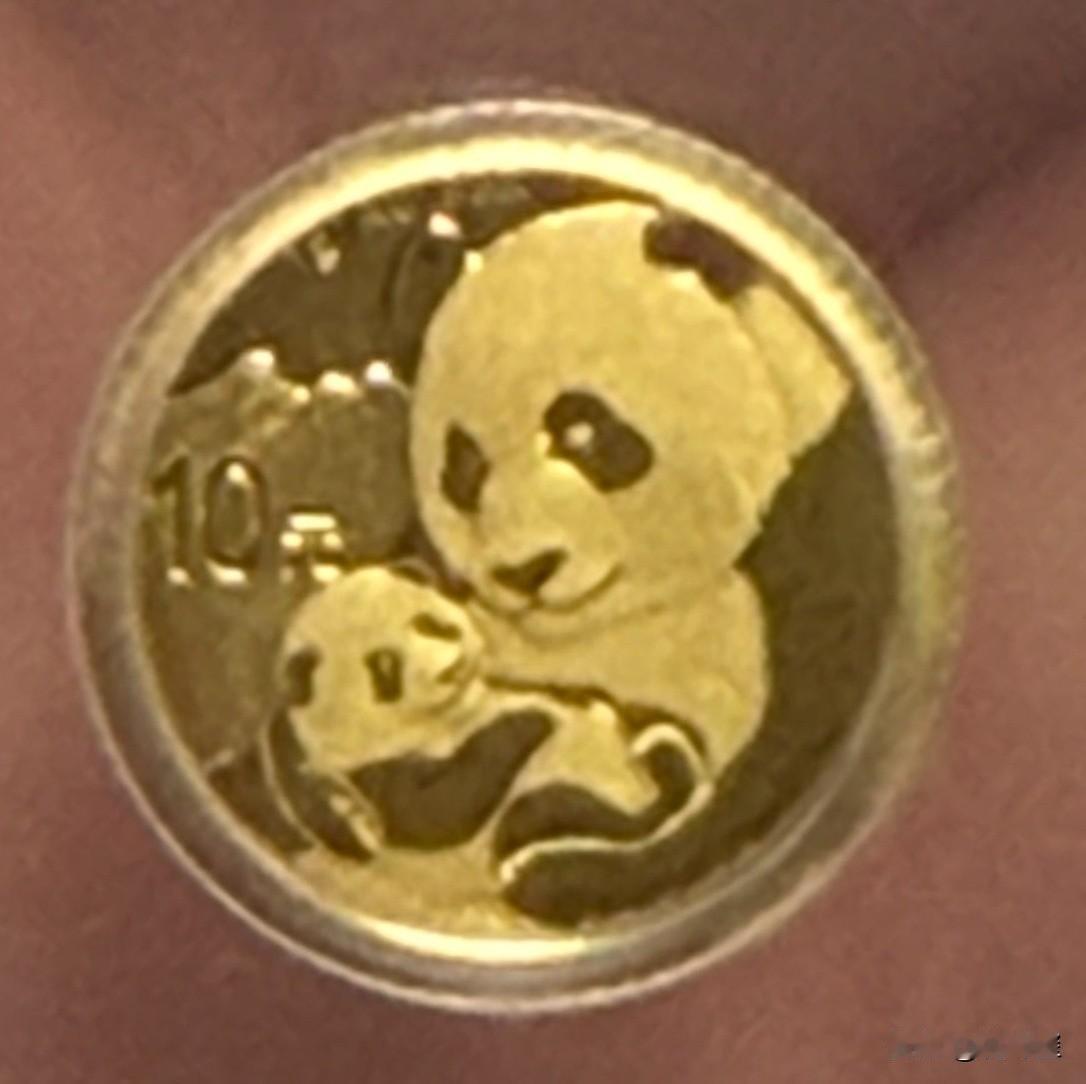这是坐火箭了吗？原本想买几枚一克熊猫金币，等春节时送人，感觉比送红包有范，