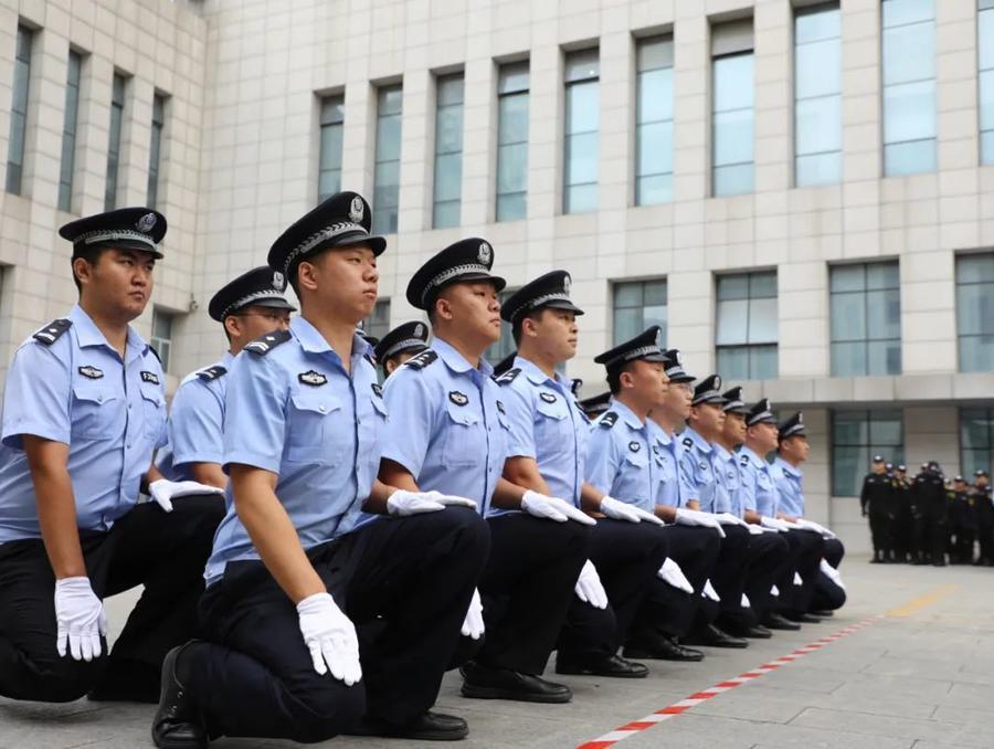 就在今日（2026年1月8日），公安部举行新闻发布会公布：2025年，全国公安机