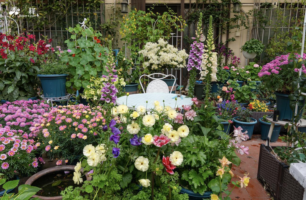 许家印开庭，留下2.4万亿窟窿，结局大概率无期徒刑恒大许家印开庭了，2.4万亿