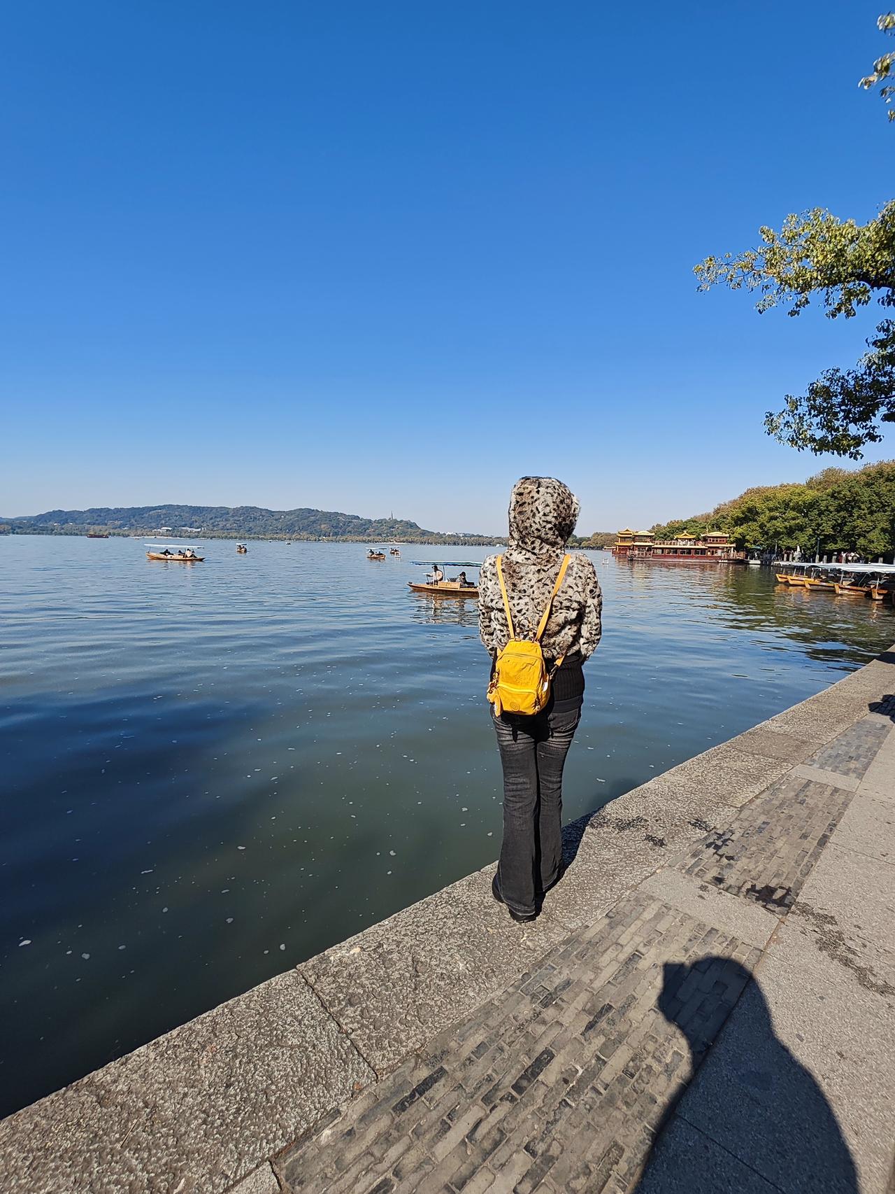 在时光的流转中，杭州初冬悄然而至。西湖褪去了深秋的斑斓，变得简洁而宁静。可那一抹