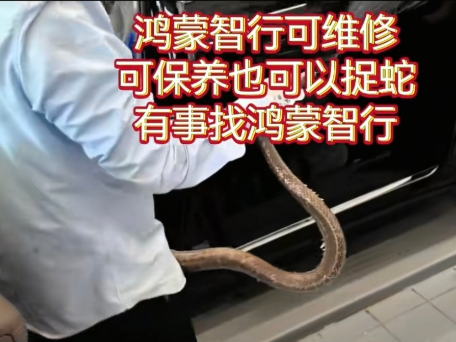 鸿蒙智行售后连抓蛇都管5月13日，有网友在短视频平台发布了一条视频，视频中，一