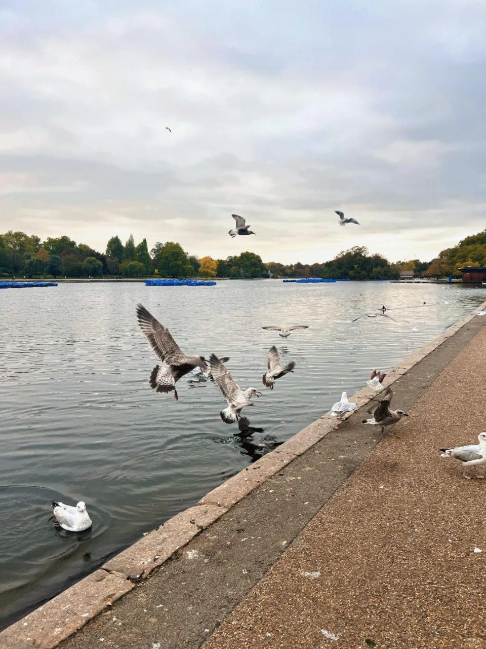 晒图笔记大赛这边风景独好，能猜出是哪里吗？