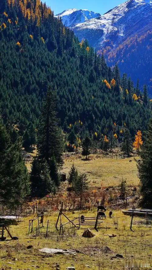 五一自驾哪个省最美五一期间很多地方春花都将谢幕，但川西丹巴到道孚的“丹道环线”