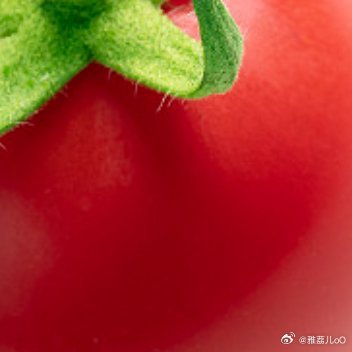 鲜红饱满的西红柿，果肉绵密汁水充盈。生吃清甜爽口，翻炒酸甜入味，家常百搭食材。富