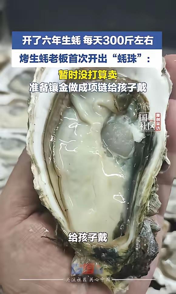 开生蚝开出“天价珍珠”！6年处理百万只，他竟在第37个里撞上亿万分之一的奇迹！网