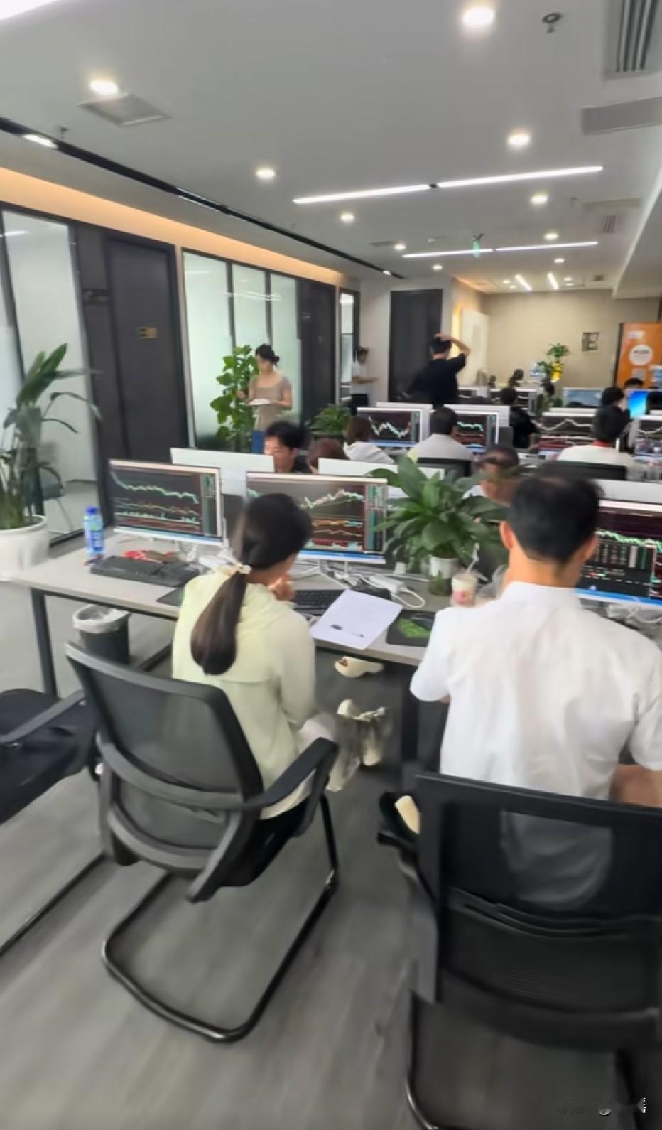 你在里面找一个一本以上的金融学士学位证书的人都难