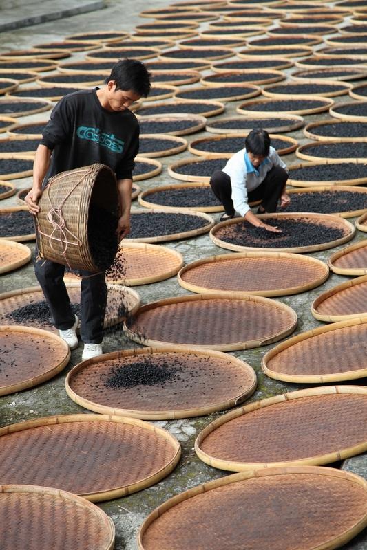 惊呆了!豆豉在日本年销152亿元中国人均消费不足8颗传统食品逆袭待