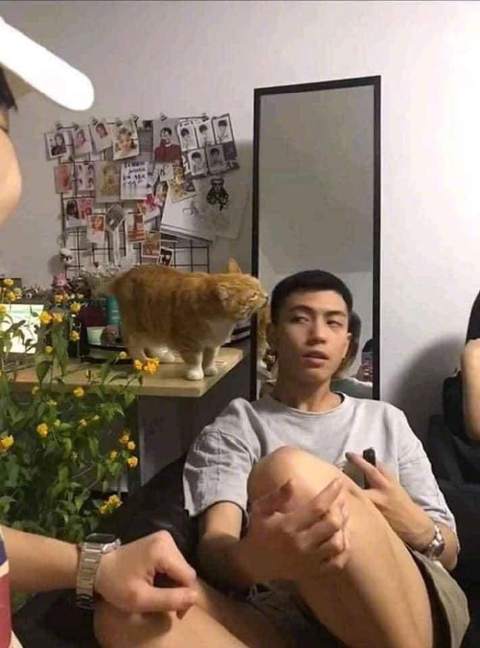 喵：咋了，惊讶什么，朕亲一下也不行？