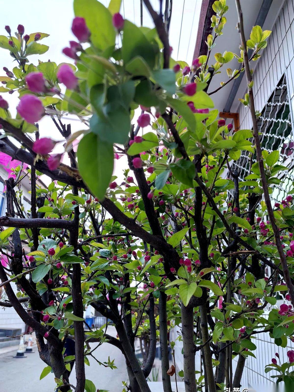 除夕夜，整栋楼就我家门上是空的。不是没钱买对联，是不敢贴。家里老人刚走，第一年