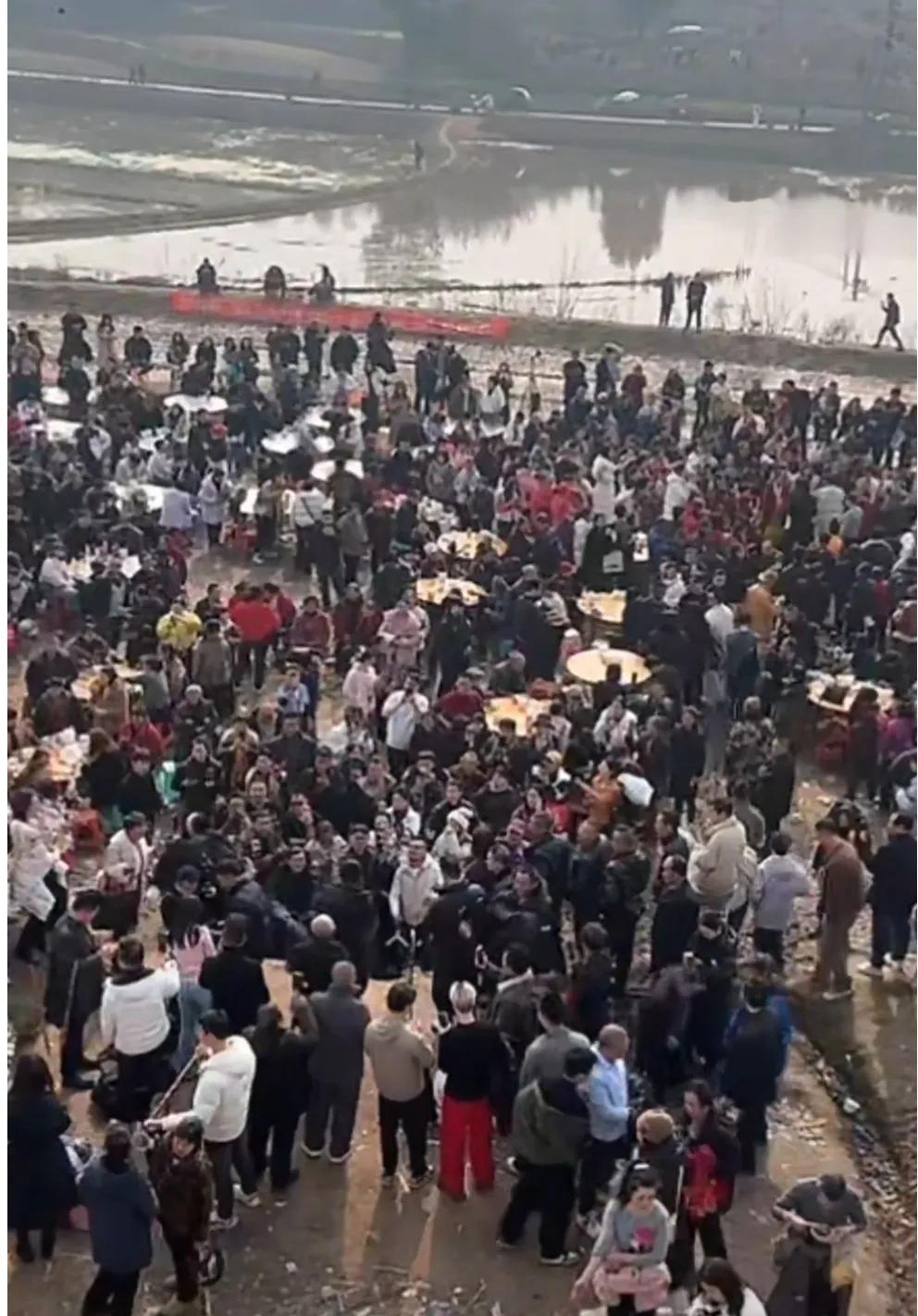 人多了加猪，猪多了加人，12号的呆呆家，来的人络绎不绝，从早上开始就陆陆续