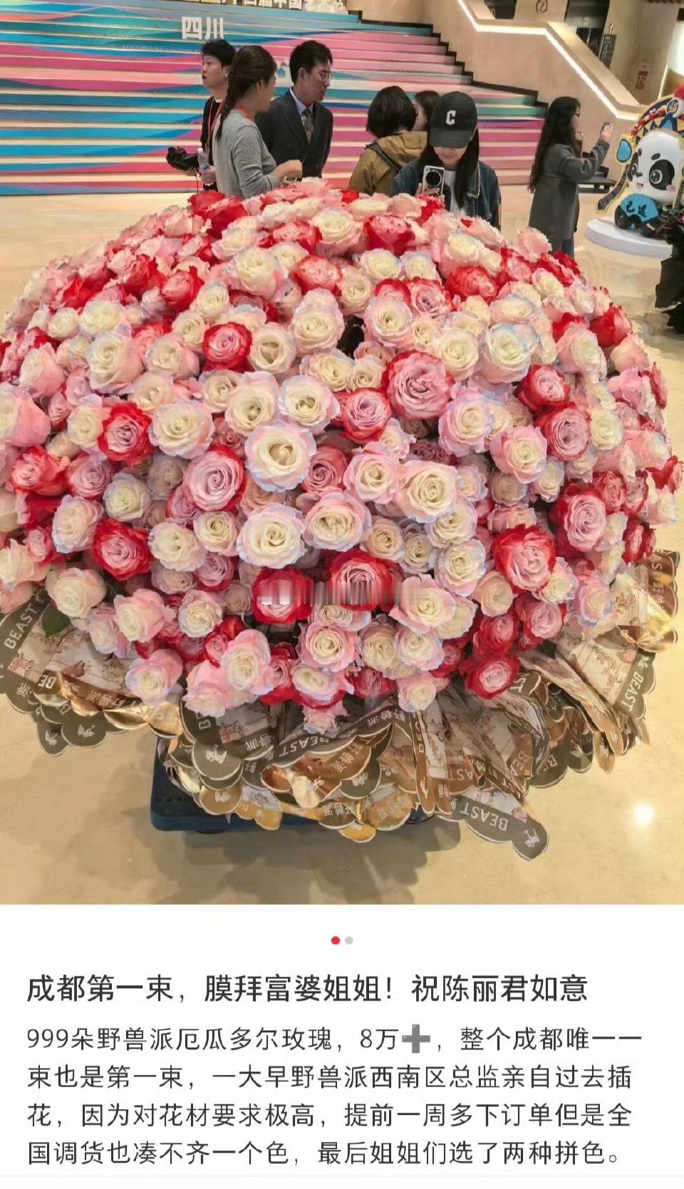 陈丽君文华演出第一天，粉丝送了999朵厄瓜多尔玫瑰，8w+，好震撼，
