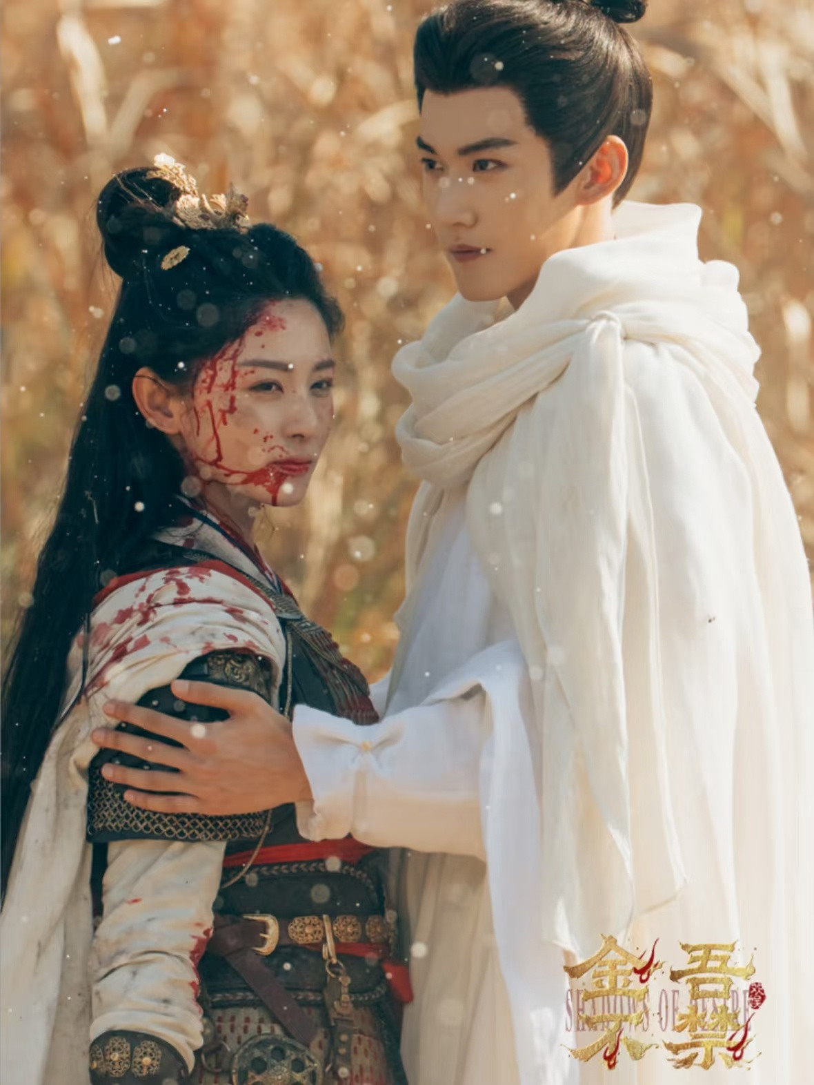 4部新剧过审下证：1.孟子义、李昀锐《尚公主》2.张晚意、姜武《我在东北当警察》