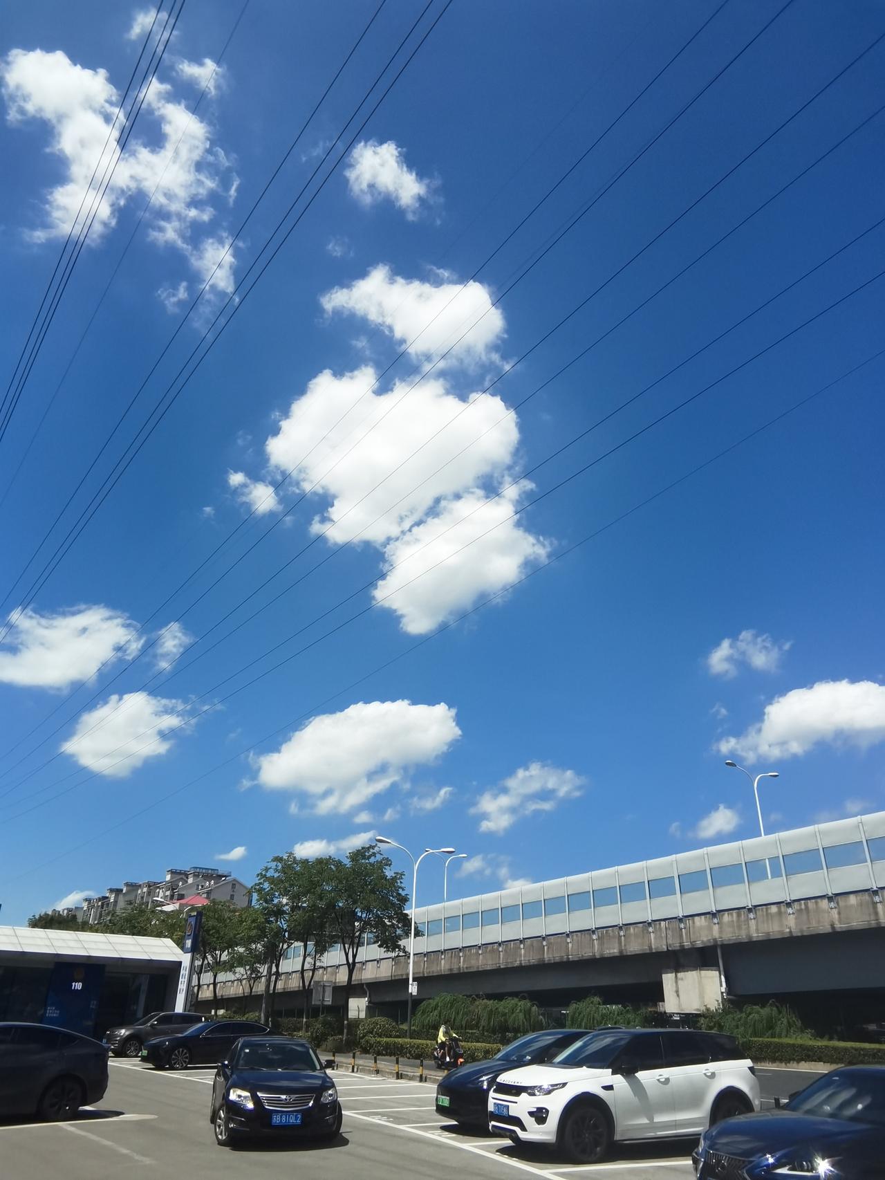 今日分享随手拍照片前两天在附近公园散步时,猛抬头望见天空的美好景致,便随手拍下几