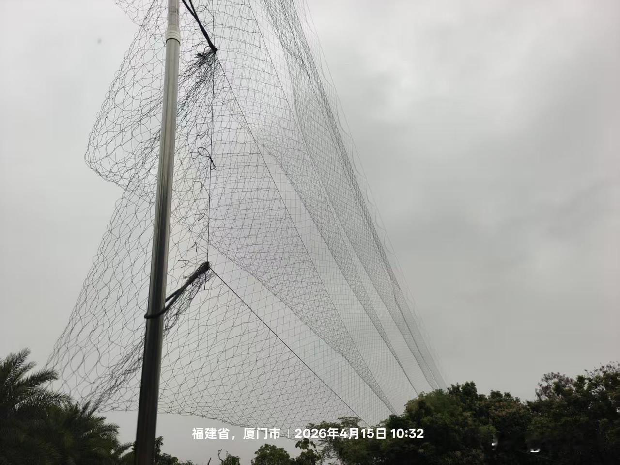 福建省厦门市，在生物多样性领域有诸多的荣耀光环，比如鸟类栖息地保护方面，它是全