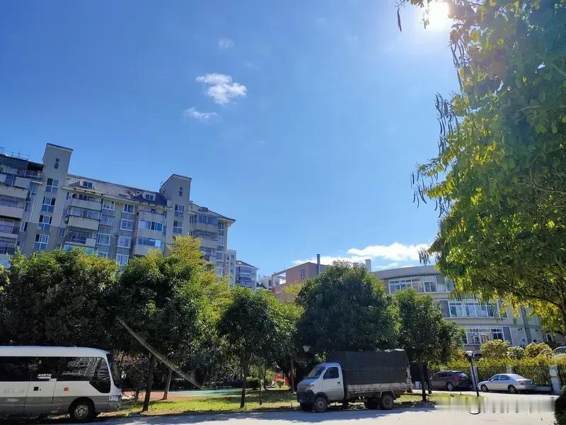 🔥雨雪终于要停了！全国大部迎3天晴好，新疆西藏需警惕大暴雪，25日冷空气再杀回