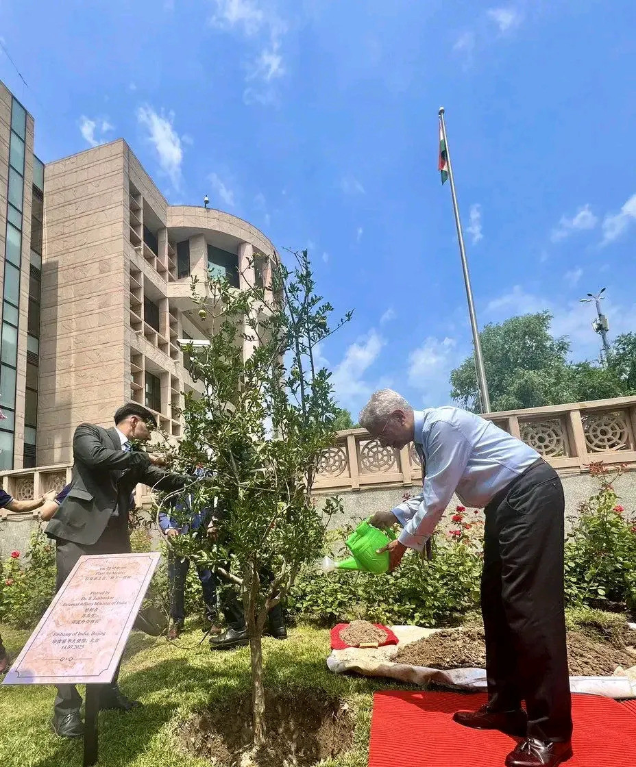 印度外长种石榴，中印关系啥意思？万万没想到，印度外长竟然