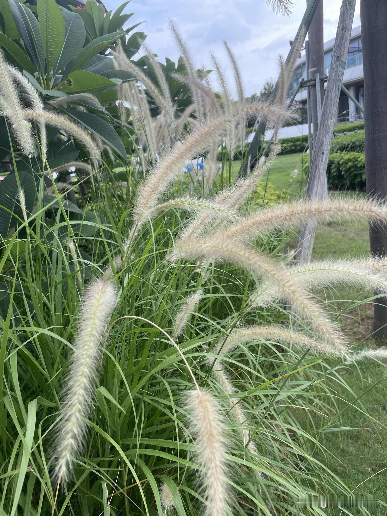 为了一条鱼,把婚姻给搅破碎了,真是愚蠢啊!一女子,34岁,结婚6年,有两个孩子,